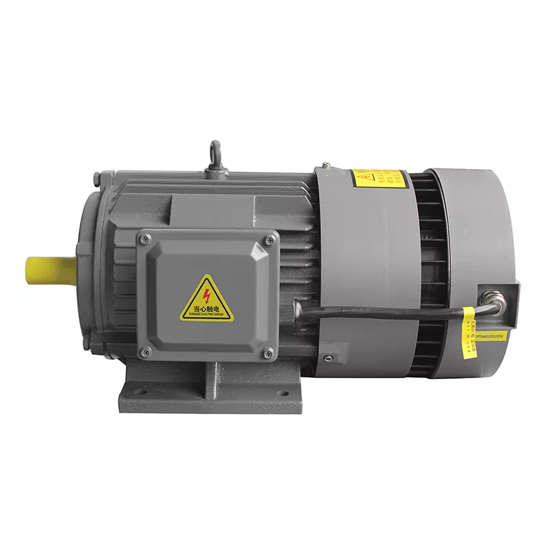 Maiztasun Aldakorreko PMSM Integratua: Motor Elektrikoen Etorkizuna